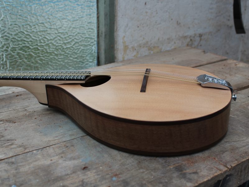 Archtop Walnut Mandolin Archtop Walnut Mandolin