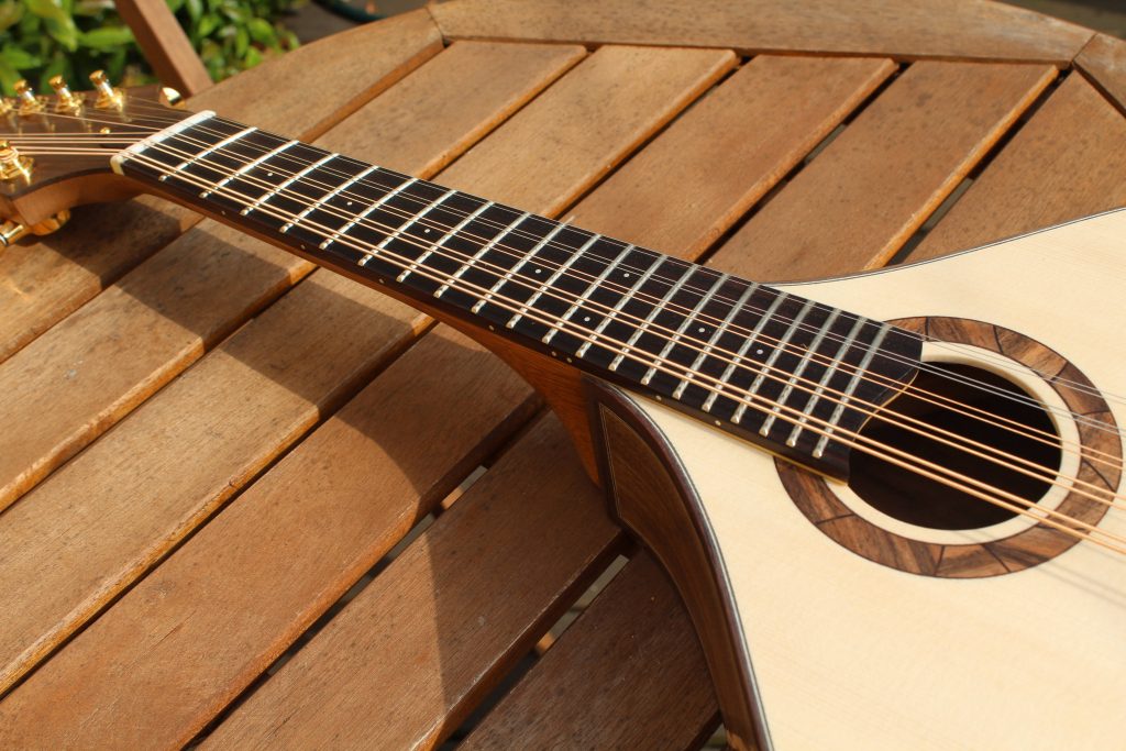 10 String Fan Fret Mandolin Davey Mandolins