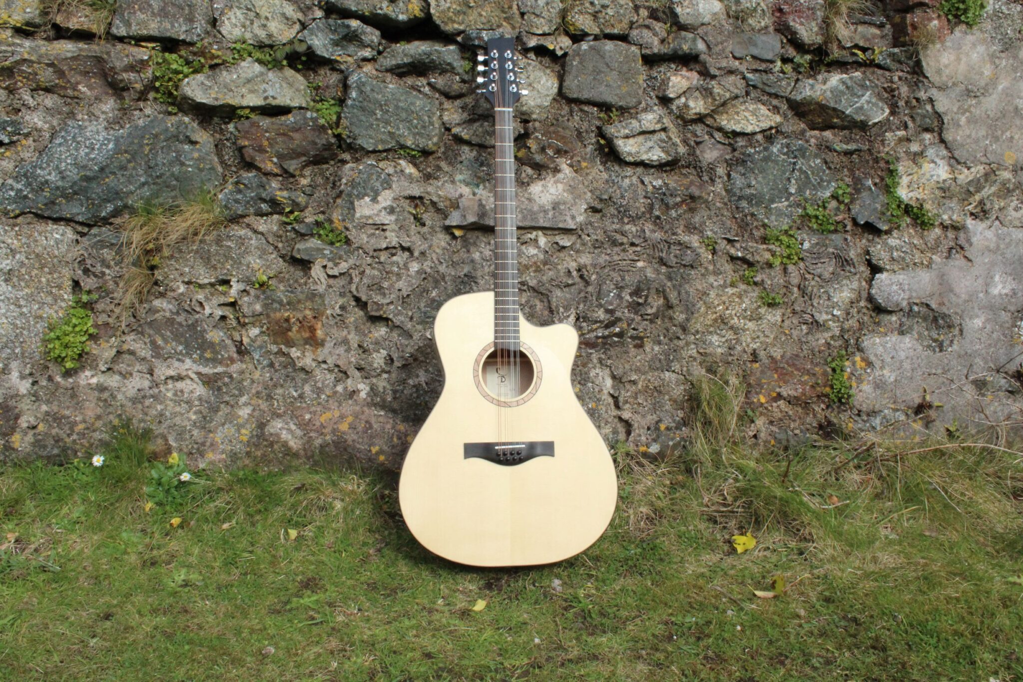 Guitar Bouzouki Front
