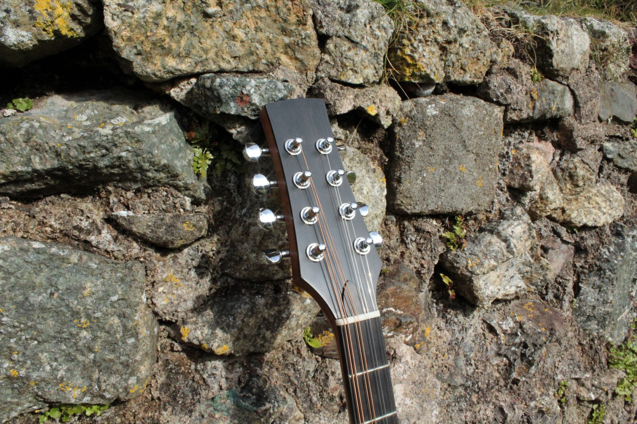 Guitar Bouzouki Headstock