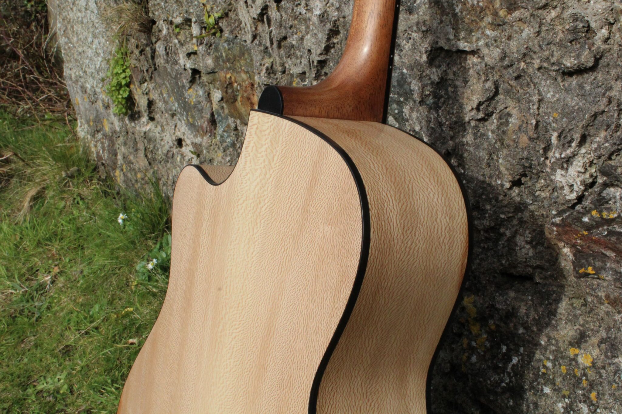 Guitar Bouzouki lacewood back