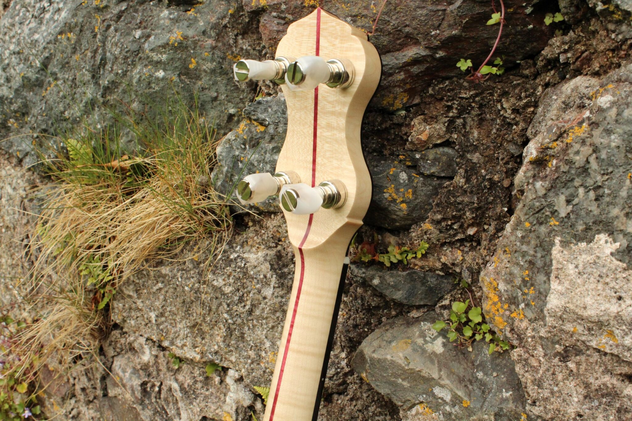 Sharp volute on maple banjo with purpleheart centre stripe