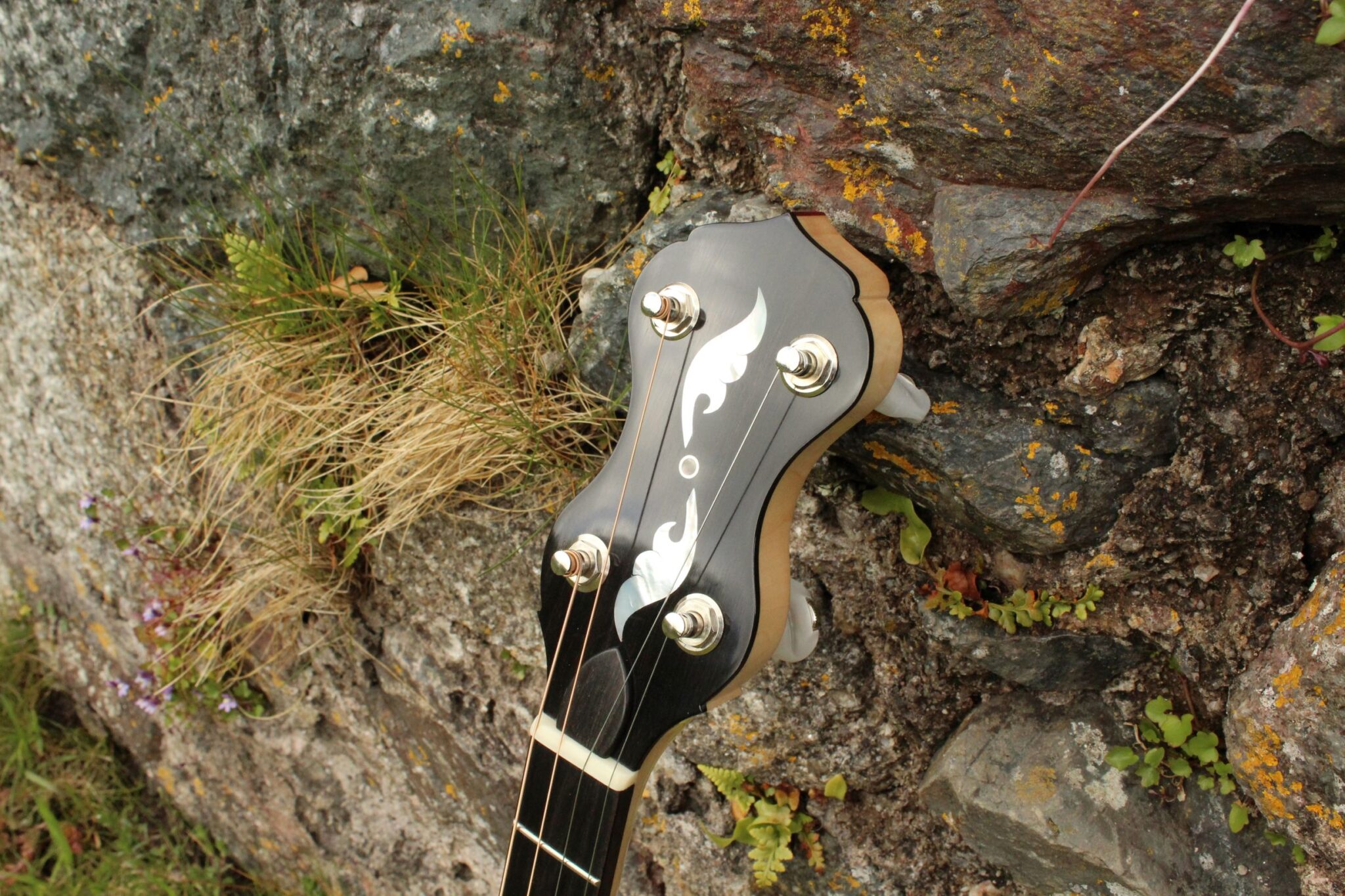 Mother of Pearl inlay on banjo