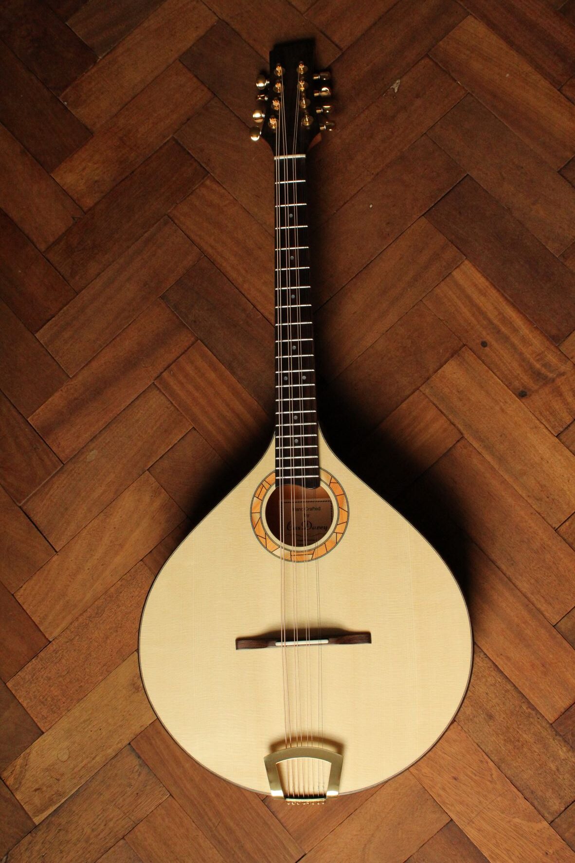 Octave mandolin