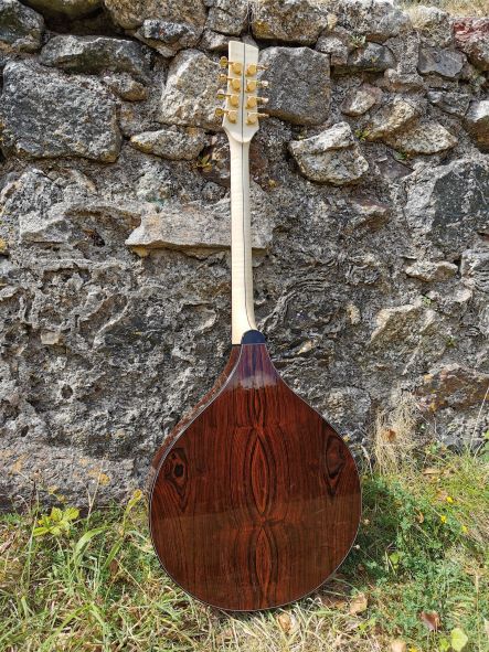 Cocobolo teardrop back